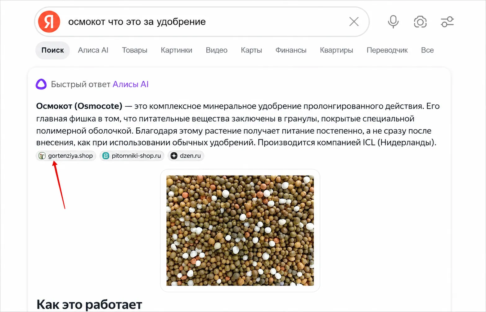  Алиса отвечает на информационные запросы — но может привести и к покупке.